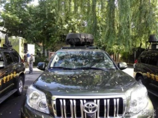 8OZ3SA3W}N%8FD%6}H(FERN 8OZ3SA3W}N%8FD%6}H(FERN