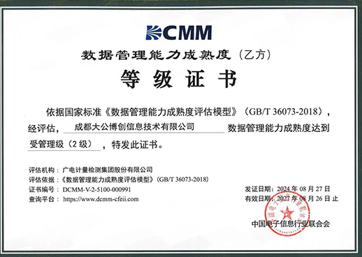 数据管理能力成熟度二级